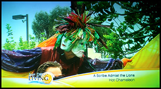 stil walker spirit of hillcrest